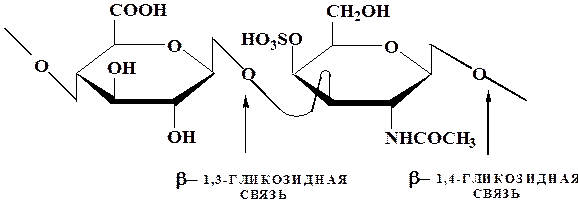 Связь 4 гликозидная. Бета 1 3 гликозидная связь. Бета 1 4 гликозидная связь. Хондроитин 4 сульфат Тип гликозидной связи. Альфа и бета гликозидная связь.