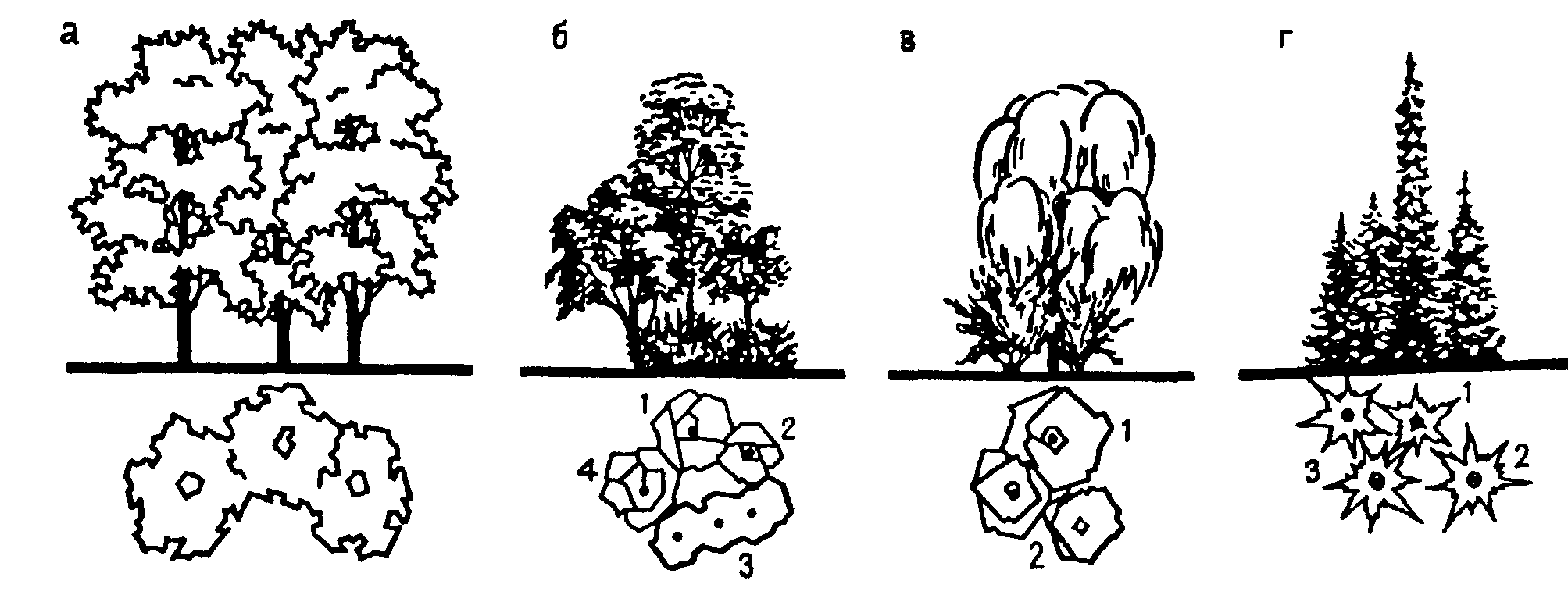 Три группы деревьев. Схема посадки древесно-кустарниковых. Схема древесно кустарниковых насаждений. Схема посадки древесных насаждений. Композиция древесно кустарниковых насаждений рисунок.