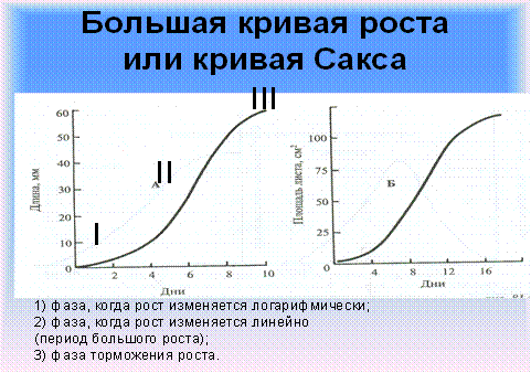 Кривые роста численности популяции. S образная кривая роста популяции. J образная кривая роста популяции. Типы динамики численности. Кривая отражающая тип роста численности.