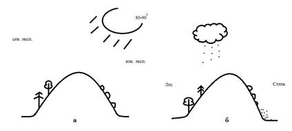 Склон северной и южной экспозиции. Южный склон и северный склон. Склон южной экспозиции. Освещённости склонов северной и южной экспозиции. Склон северной и южной экспозиции.