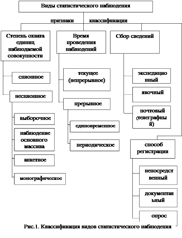 Виды статистической структуры. Виды статистической структуры