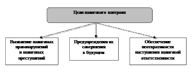 Система налогового контроля. Налоговый контроль Германии.