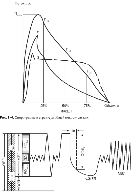 Спирограмма. Спирограмма кривая поток объем. Максимальная вентиляция легких на спирограмме. Спирограмма дыхательные объемы и емкости. Спирография дыхательные объёмы.