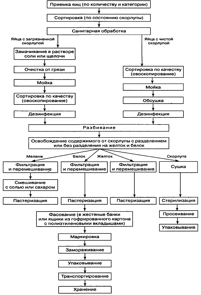Технологическая схема обработки яиц