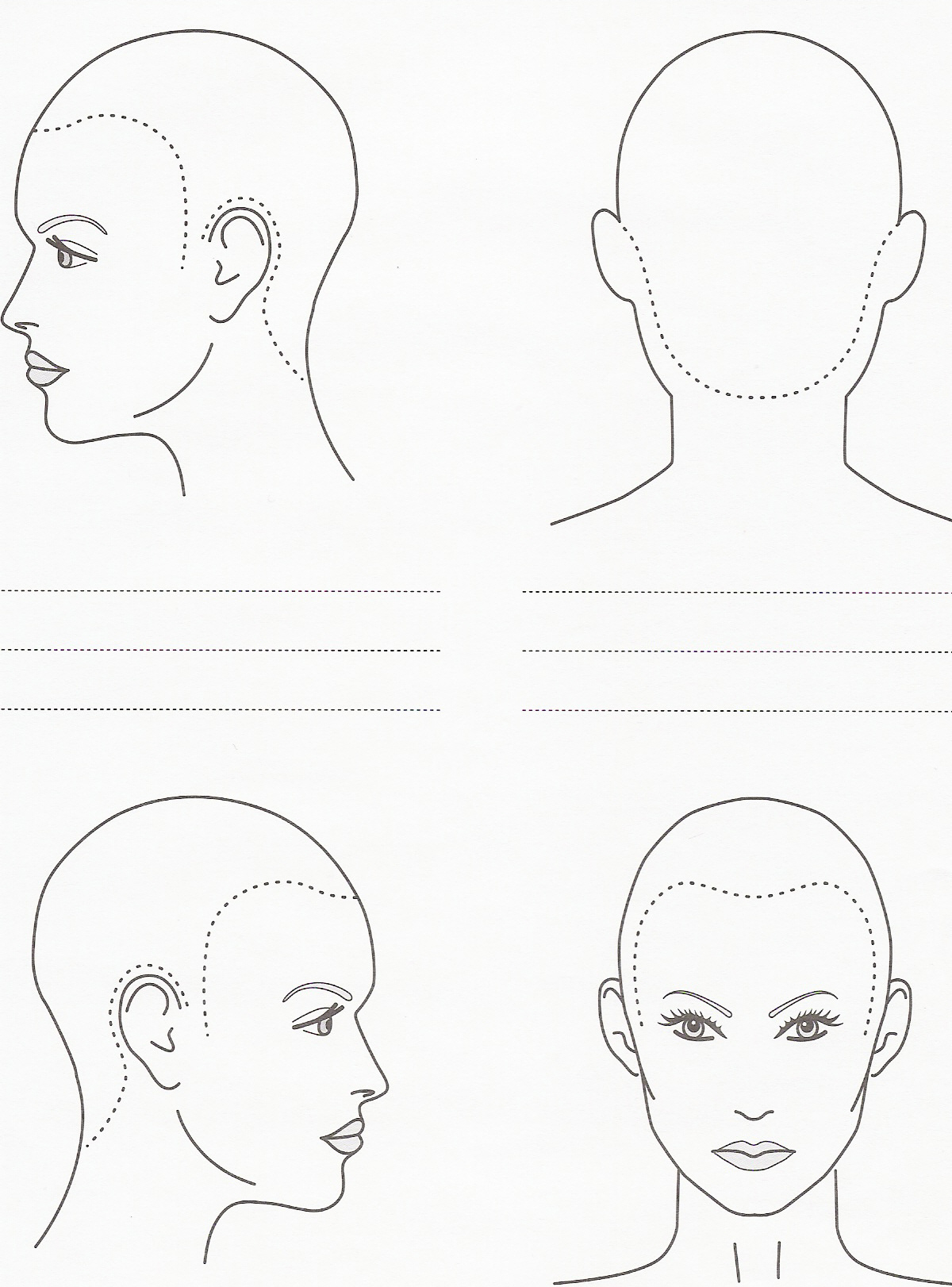Схема головы для парикмахеров