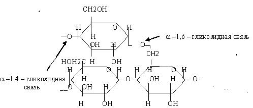1 1 гликозидной связью. Альфа 1 6 гликозидная связь. Крахмал формула гликозидные связи. Крахмал формула 1-6 гликозидная связь. Альфа 1 4 гликозидная связь Глюкозы.