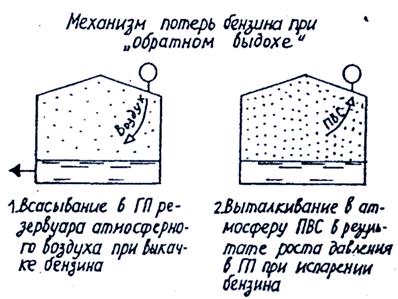 верхние дыхательные пути и нижние дыхательные пути. классификация потерь. верхние дыхательные пути схема расположения. бронхиальная гиперсекреция это. верхние дыхательные пути рисунок анатомия.