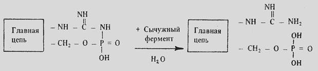 кислотно сычужная коагуляция простыми словами что такое. Смотреть фото кислотно сычужная коагуляция простыми словами что такое. Смотреть картинку кислотно сычужная коагуляция простыми словами что такое. Картинка про кислотно сычужная коагуляция простыми словами что такое. Фото кислотно сычужная коагуляция простыми словами что такое