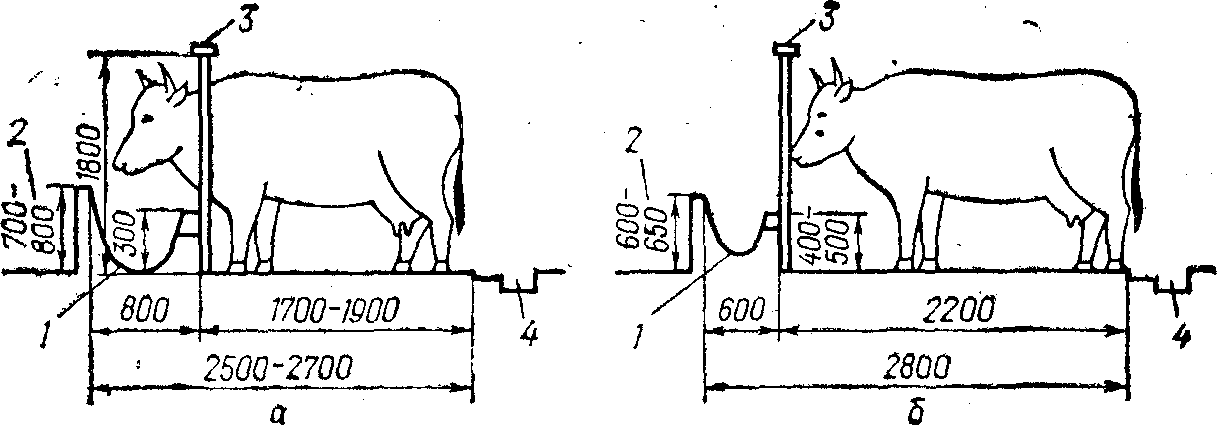 размеры стойла для быков на откорме. вес бычков по возрасту таблица. таблица измерения веса молодняка крс. мини ферма для коров 20 голов проект. привязное содержание крс схема.