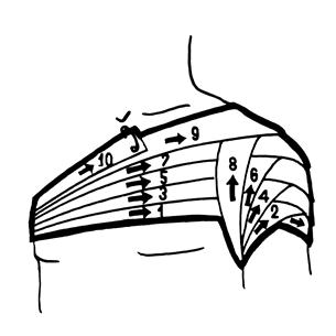 Изображение - Колосовидная повязка на плечевой сустав алгоритм image047