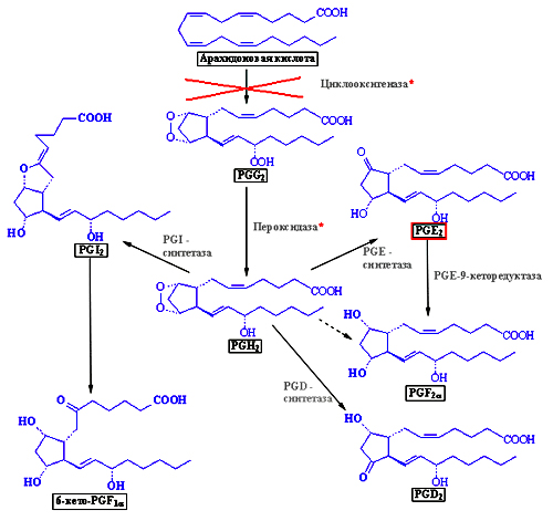 Простагландины схема синтеза