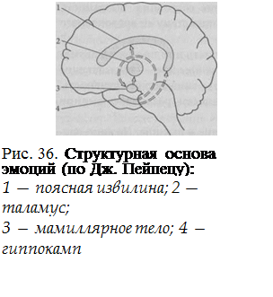 Схема эмоций омори