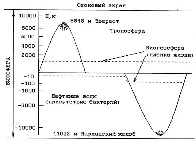 Нарисуйте схему границы биосферы покажите штриховую область земли в которой существует жизнь