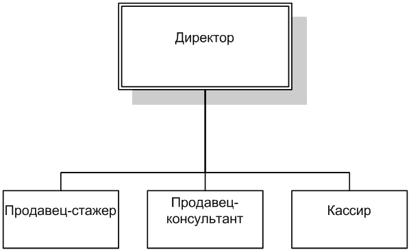 Схема организационной структуры салона красоты