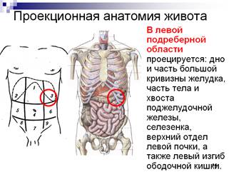 После еды болят ребра спереди