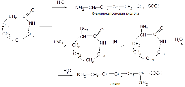 Аминокапроновая кислота относится к группе. Диаминокапроновая кислота формула. 2,6-Диаминокапроновая кислота формула. 2 Аминокапроновая кислота формула. 6-Аминокапроновая кислота формула.